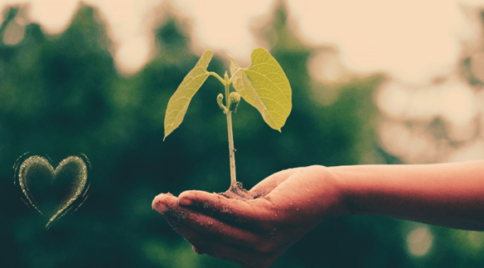 desenvolvimento pessoal